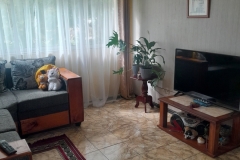 20260405_111351.jpg
