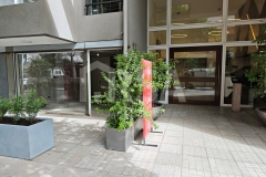 MVIMG_20260316_115818